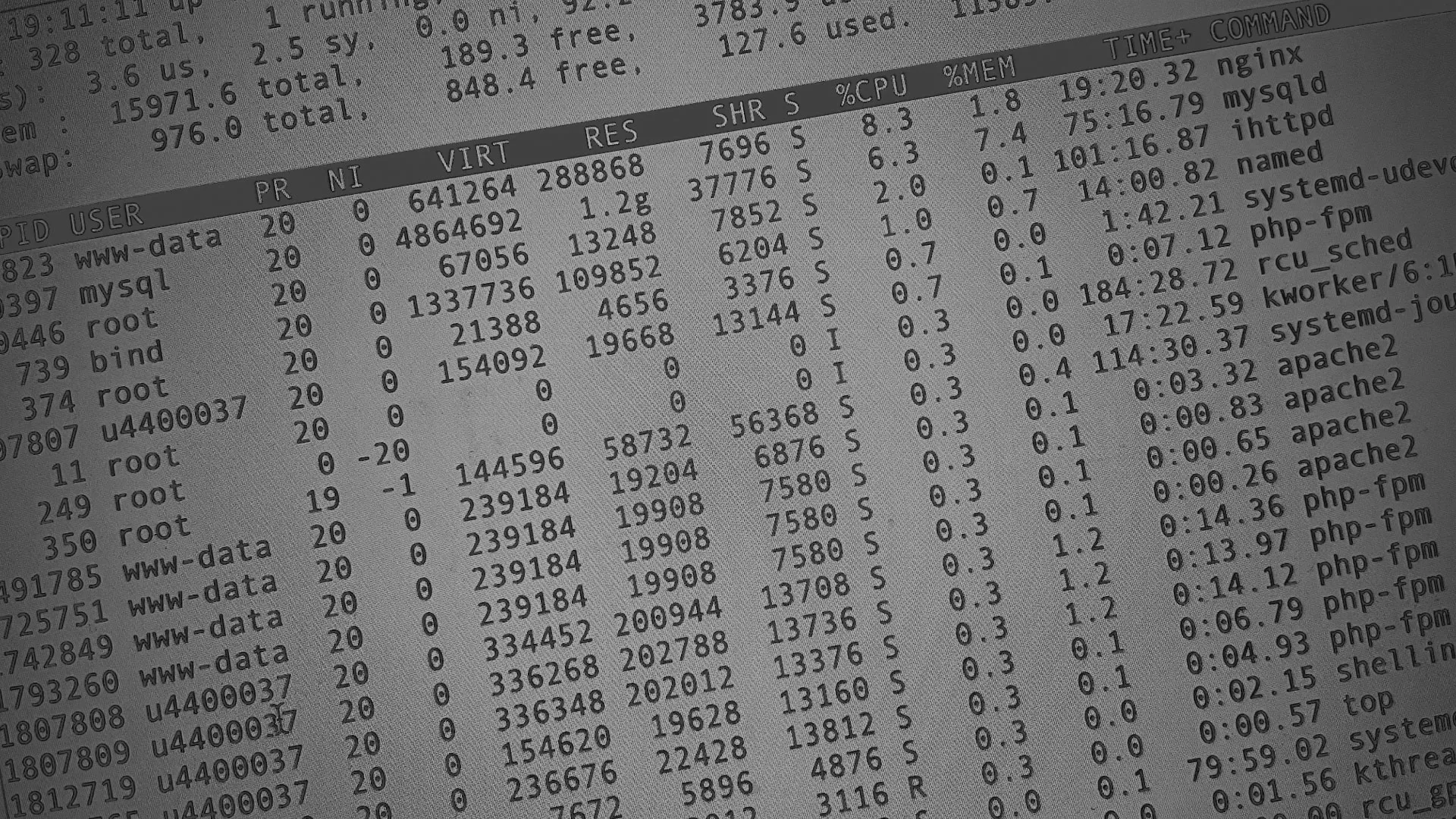 Настройка сервера в Чегеме